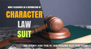 Understanding Defamation of Character Lawsuits: Key Criteria and Legal Implications