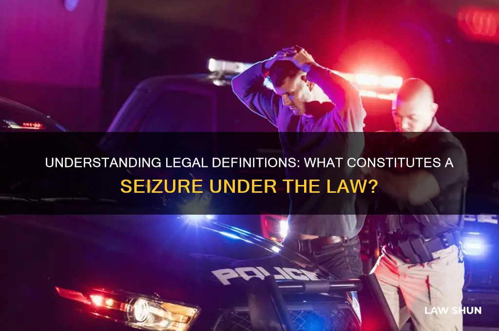 what classifies as a seizure of a person in law