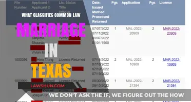 Understanding Common Law Marriage Requirements in Texas