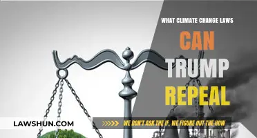 Climate Change Laws: Trump's Legacy