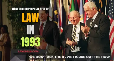 Clinton's 1993 Proposals: Which Laws Were Passed?