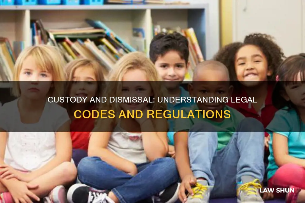 what codes of law for custodty and dismissal