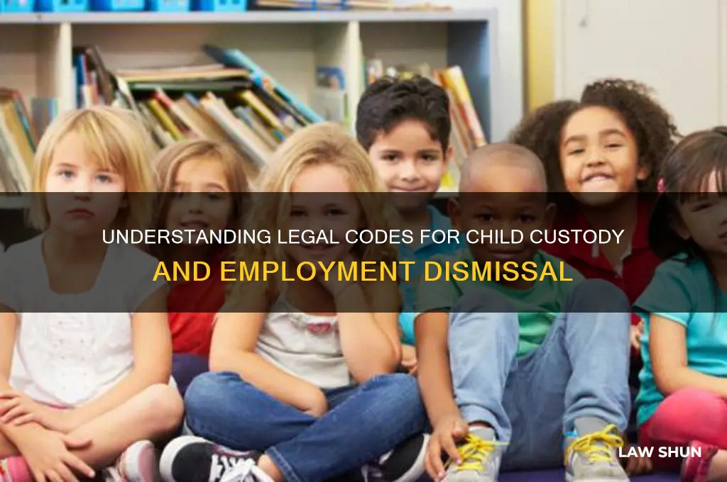 what codes of law for custody and dismissal