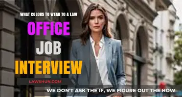 Dress to Impress: Best Colors for Law Office Interviews