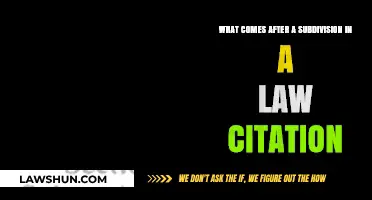 Understanding Legal Citations: What Follows a Subdivision in Law References