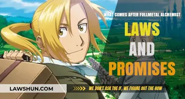 Exploring the Legacy: Beyond Fullmetal Alchemist's Laws and Promises