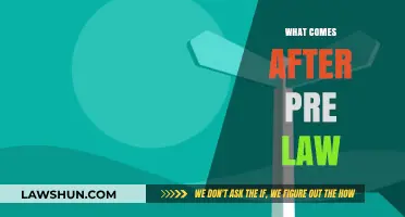 Beyond Pre-Law: Navigating the Path to a Legal Career