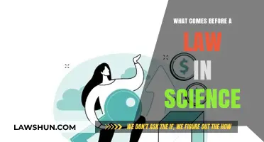 Understanding Scientific Principles: The Foundation Preceding Laws in Science