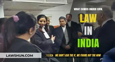 Understanding Civil Law in India: Key Areas and Legal Framework