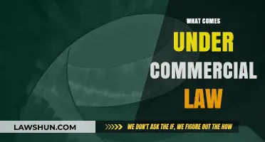 Understanding Commercial Law: Key Areas and Legal Principles Explained