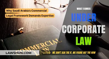 Understanding Corporate Law: Key Areas and Legal Framework Explained