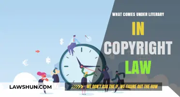 Understanding Literary Works: Copyright Law Protections and Inclusions Explained
