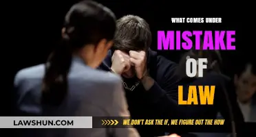 Mistake of Law: Understanding Legal Misconceptions and Their Implications