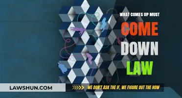 What Comes Up Must Come Down: Understanding the Law of Gravity