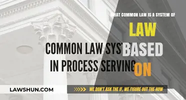 The Evolution of Common Law: A Historical Perspective