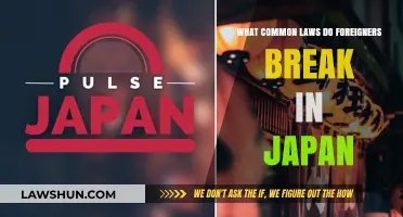 Foreigners: Be Wary of These Japanese Laws!