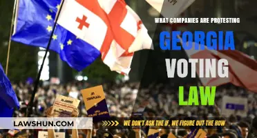 Georgia Voting Law: Which Companies Are Taking a Stand?