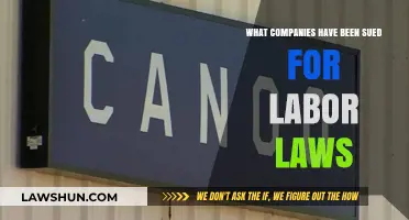 Companies Facing Lawsuits Over Labor Law Violations: A Comprehensive List
