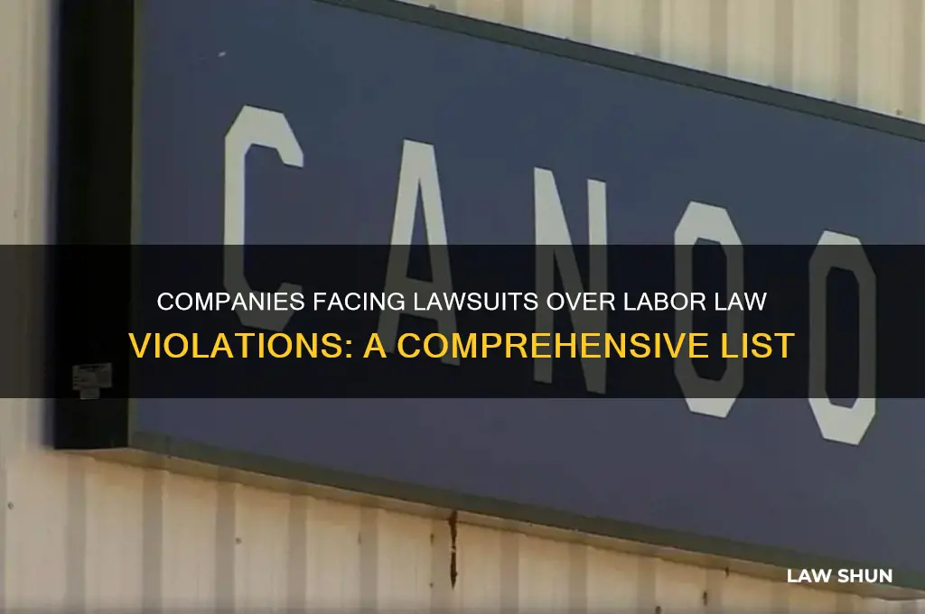 what companies have been sued for labor laws