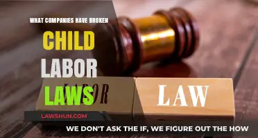 Exposing Corporate Violations: Companies Accused of Breaking Child Labor Laws
