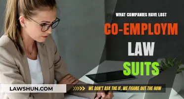 Co-Employment Lawsuits: Which Companies Faced Legal Defeats and Why