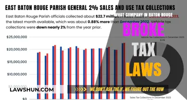 Baton Rouge Tax Scandal: Which Company Cheated?