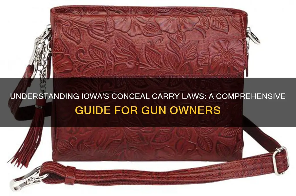 what conceal carry iowa law