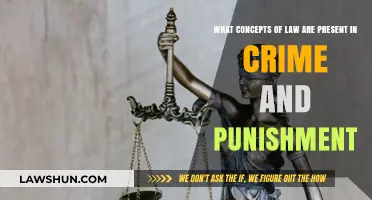 Crime and Punishment: Exploring Legal Concepts in Dostoevsky's Masterpiece