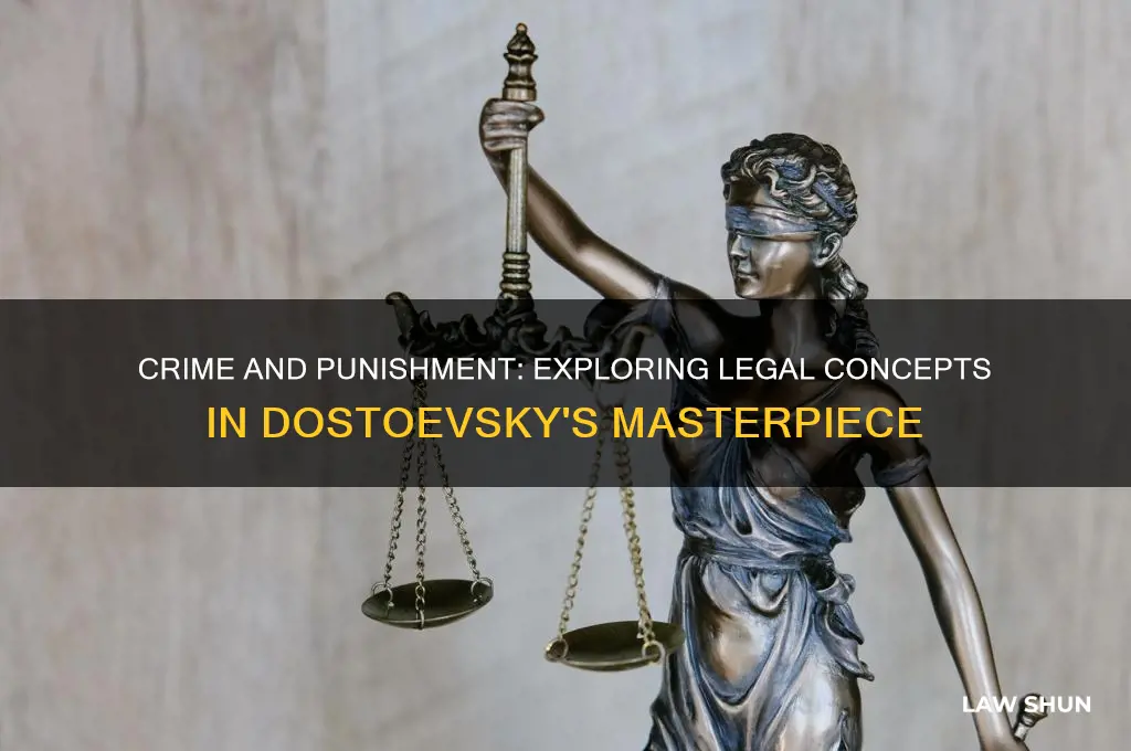 what concepts of law are present in crime and punishment