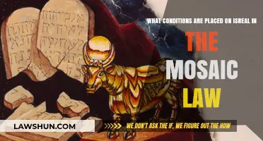 Mosaic Law's Conditions on Israel: Exploring Divine Covenants and Obligations