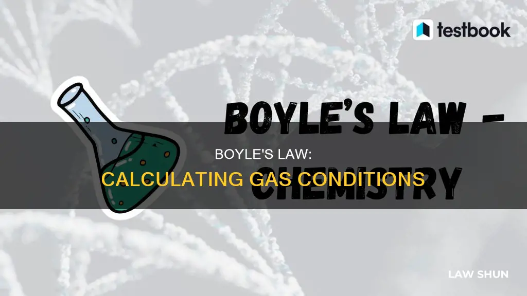 Boyle's Law: Calculating Gas Conditions | LawShun