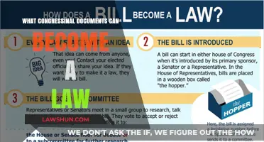 Congressional Documents: Which Ones Become Law?