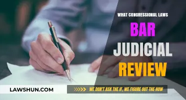 Understanding Congressional Laws That Limit Judicial Review Authority