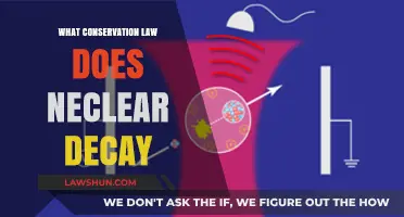 Nuclear Decay and Conservation Laws: Unraveling the Science Behind Atomic Stability