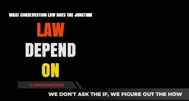 Junction Law's Foundation: Exploring the Conservation Principle It Relies On