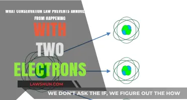 Conservation of Charge: Why Two Electrons Can't Annihilate Each Other