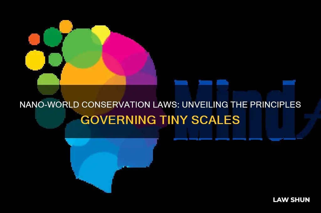 what conservation laws are obeyedd in the nano-world