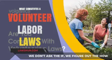 Understanding Volunteer Labor Laws: Rights, Responsibilities, and Legal Boundaries