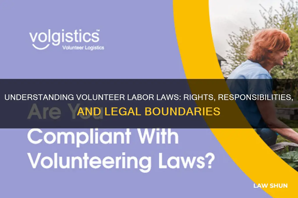 what consitutes a volunteer labor laws