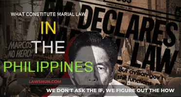 Martial Law in the Philippines: Understanding the Legal Basis