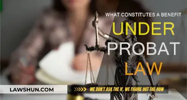Understanding Probate Law Benefits