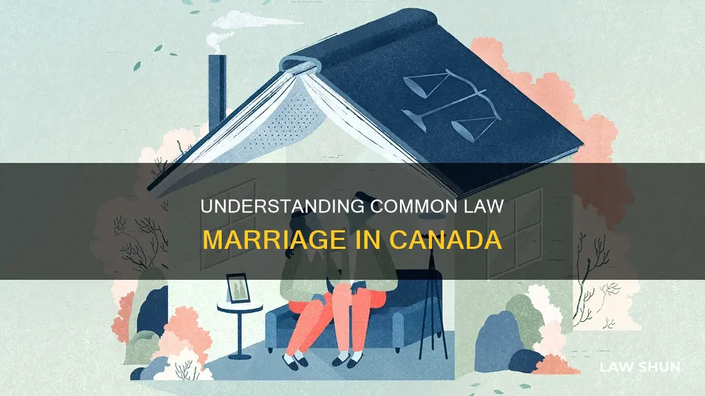 what constitutes a common law marriage in canada