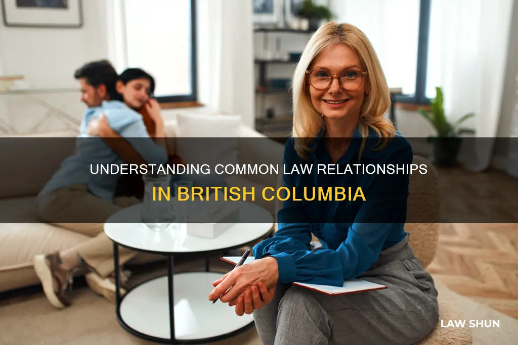 what constitutes a common law relationship in bc