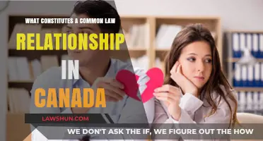 Understanding Common-Law Relationships in Canada