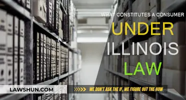Illinois Consumer Law: Who Qualifies as a Consumer?