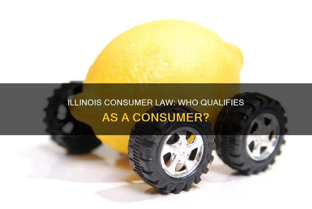 what constitutes a consumer under illinois law