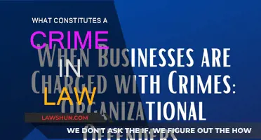 Understanding Crime: Legal Definition and Application