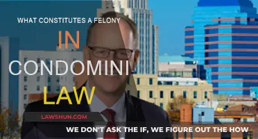 Condo Law: Felony Focus