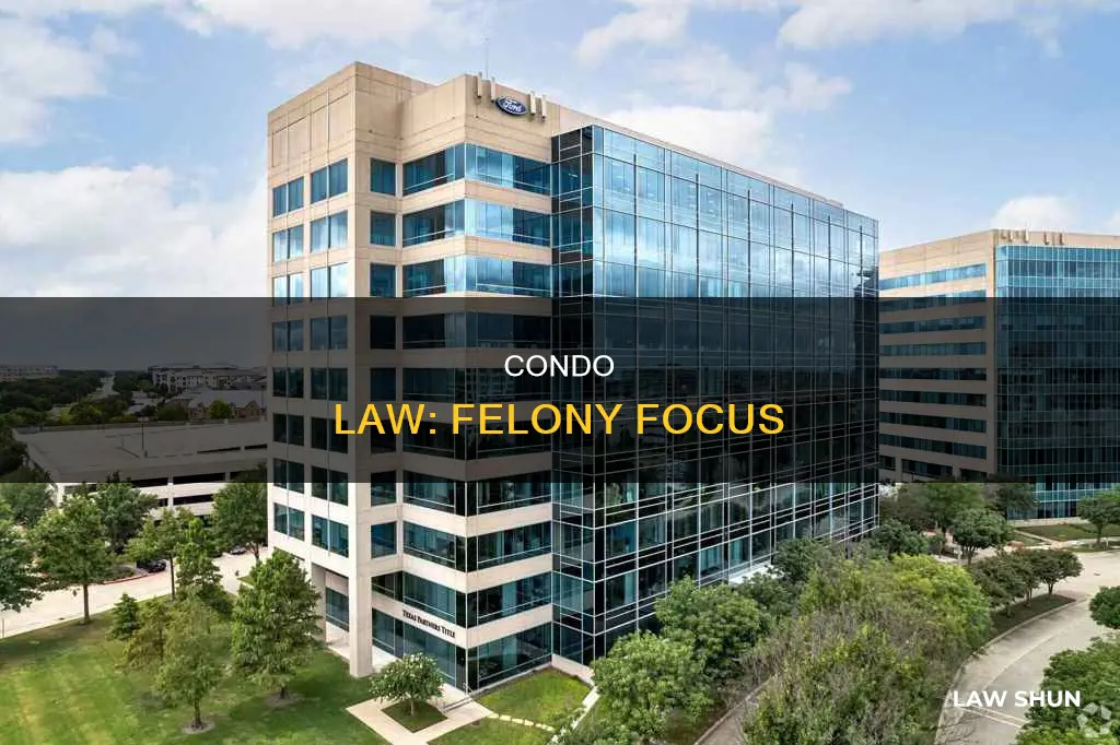 what constitutes a felony in condominium law