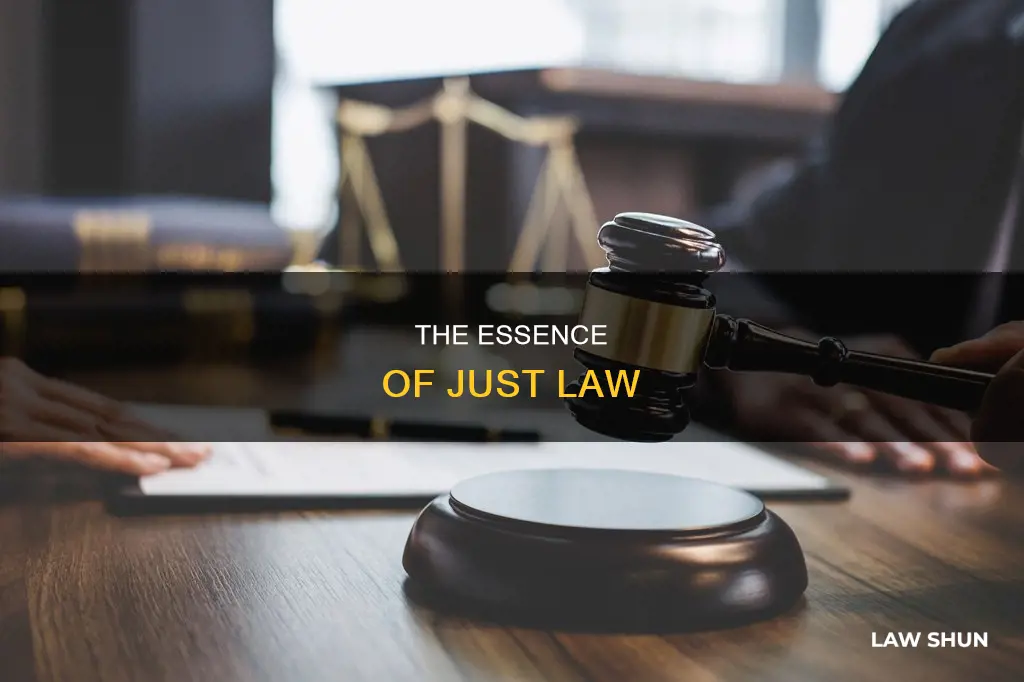 what constitutes a just law